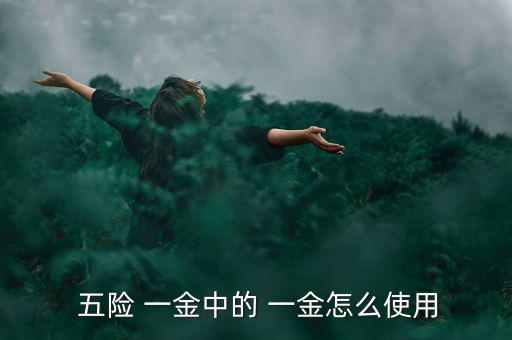  五險(xiǎn) 一金中的 一金怎么使用