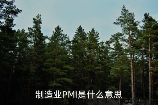 什么是pmi，制造業(yè)PMI是什么意思