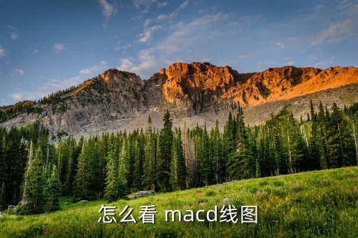 怎么看 macd線圖