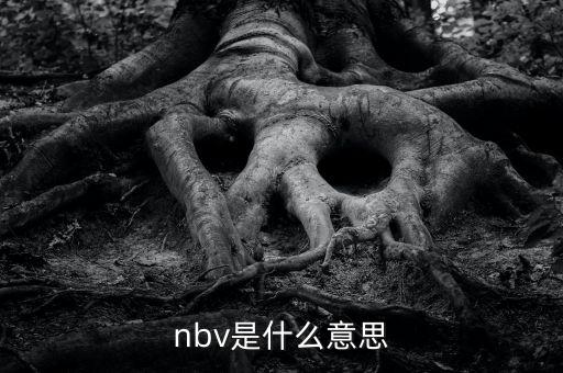 保險(xiǎn)nbv是什么意思，nbv是什么意思