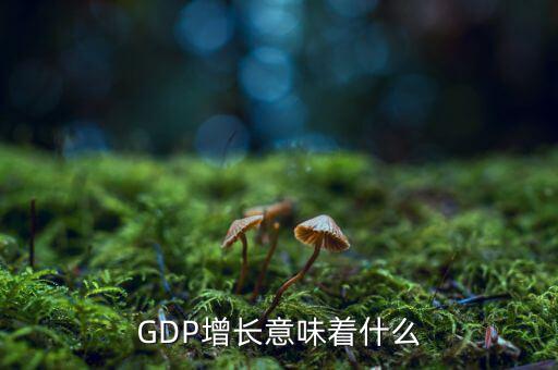 GDP增長(zhǎng)意味著什么