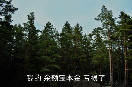 余額寶虧損了怎么辦,理財(cái)在線(xiàn)｜羅清全】余額寶是什么鬼?