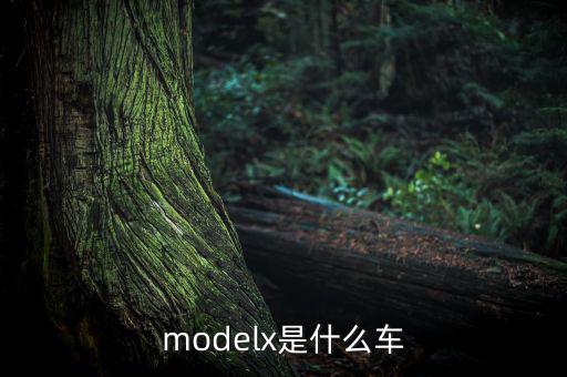 modelx是什么車