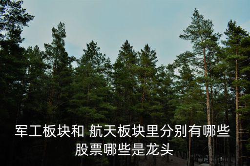 航天電器股票怎么樣,航天發(fā)動機龍頭:航天電子、中國重工