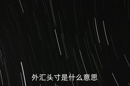 外匯頭寸是什么意思