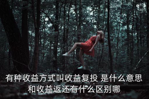 按月復(fù)投是什么意思，本息復(fù)投是什么意思