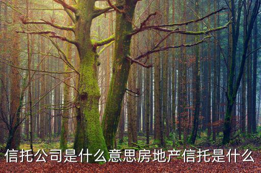 信托公司是什么意思房地產(chǎn)信托是什么