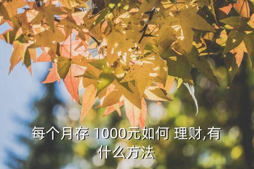 每個月存 1000元如何 理財,有什么方法