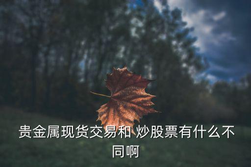 炒股又做貴金屬的公司是怎么回事,貴金屬投資風(fēng)險比炒股風(fēng)險大