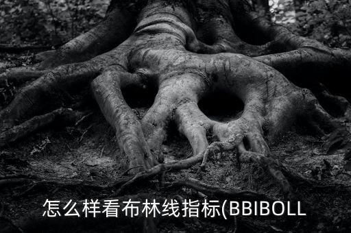 同花順怎么看bbd,如何在k線圖中找到買入股票的標志呢!