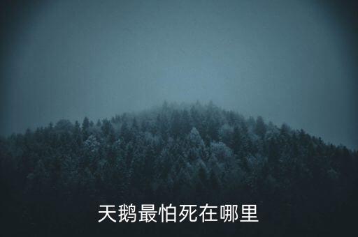 天鵝怕什么，天鵝最怕死在哪里