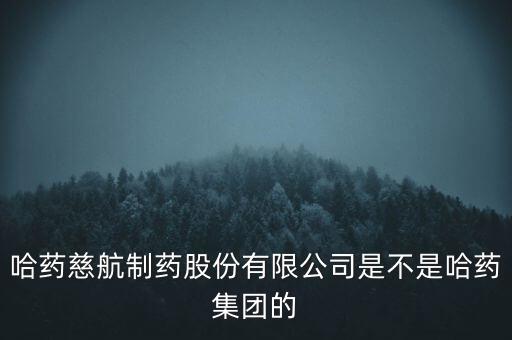 哈藥慈航制藥股份有限公司是不是哈藥集團(tuán)的