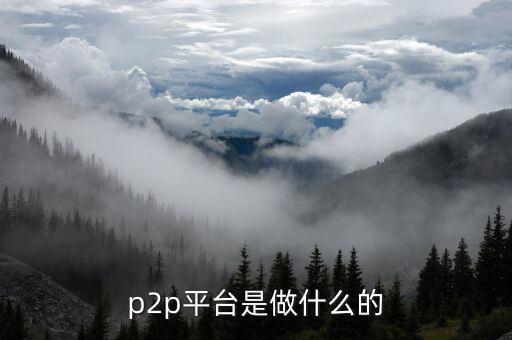 p2p平臺是做什么的