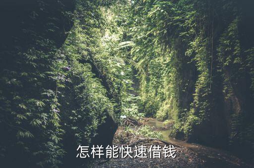 怎樣能快速借錢