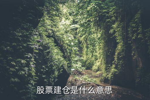 股票建倉是什么意思