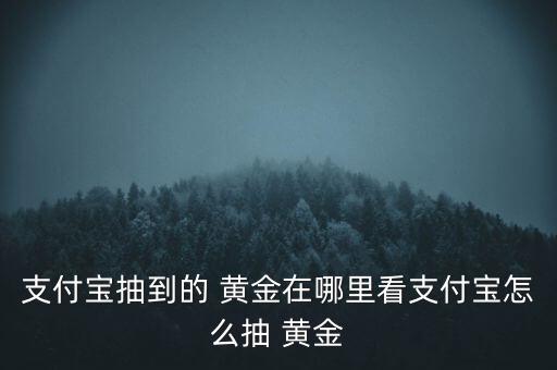 支付寶抽到的 黃金在哪里看支付寶怎么抽 黃金