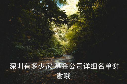 深圳巨潮投資基金管理有限公司怎么樣