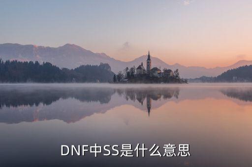 ngbss是什么，DNF武器cc和ss是指什么請詳細解釋