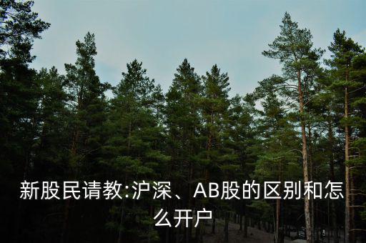 新股民請教:滬深、AB股的區(qū)別和怎么開戶