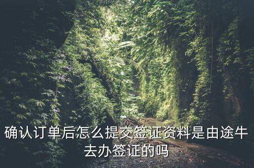 為什么途牛金服資料提交不了，申請途牛額度的資料怎么填寫我填的都是真的也很全啊但是一提