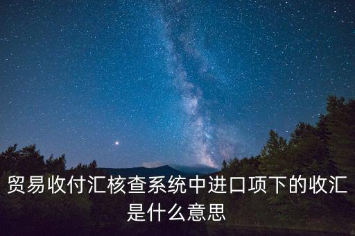 貿(mào)易收付匯核查系統(tǒng)中進口項下的收匯是什么意思