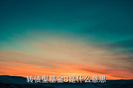 轉(zhuǎn)債型基金B(yǎng)是什么意思