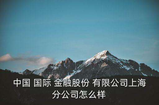 中國(guó) 國(guó)際 金融股份 有限公司上海分公司怎么樣