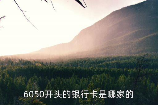 6050開(kāi)頭的銀行卡是哪家的