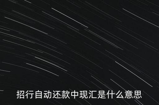 招行自動還款中現(xiàn)匯是什么意思