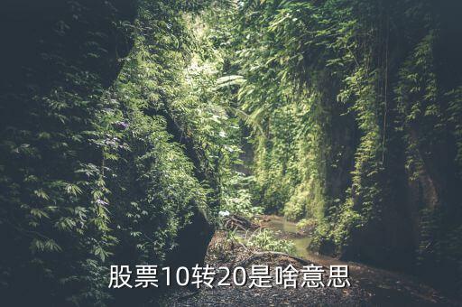 10送20的股票什么意思，股票10轉(zhuǎn)20是什么意思