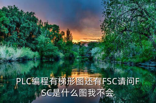 PLC編程有梯形圖還有FSC請問FSC是什么圖我不會