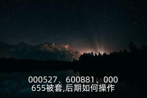 000527、600881、000655被套,后期如何操作