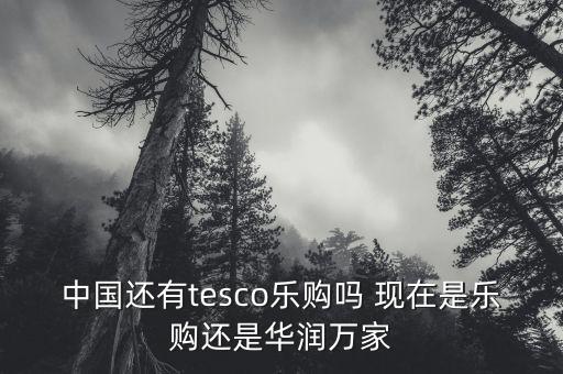 中國還有tesco樂購嗎 現在是樂購還是華潤萬家