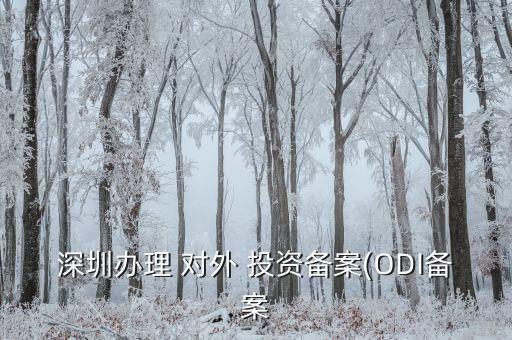 深圳辦理 對外 投資備案(ODI備案