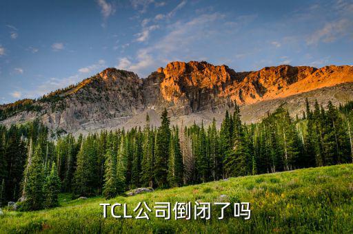 TCL公司倒閉了嗎