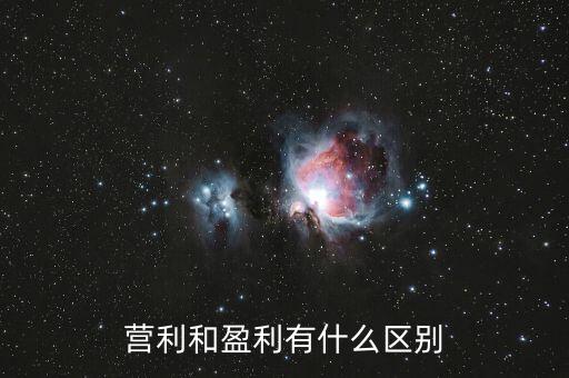 營利和盈利有什么區(qū)別