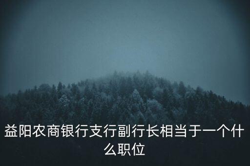 益陽農(nóng)商銀行支行副行長相當(dāng)于一個(gè)什么職位