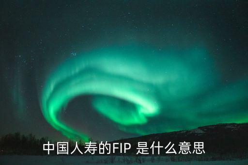 規(guī)模保費(fèi)是什么意思，中國人壽的FIP 是什么意思