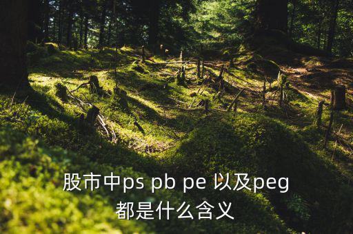 股市peg是什么意思，請問在股市里的PEG是什么意思和股價的關(guān)系怎樣多謝