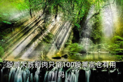 股票大跌割肉只留100股票底倉(cāng)有用嗎