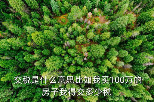  交稅是什么意思比如我買100萬的房子我得交多少稅