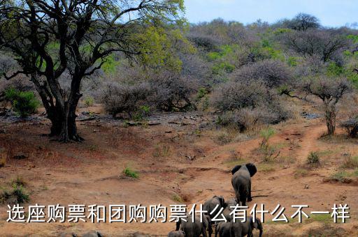 選座購票和團購購票什么有什么不一樣