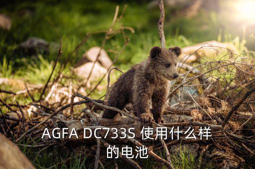 AGFA DC733S 使用什么樣的電池