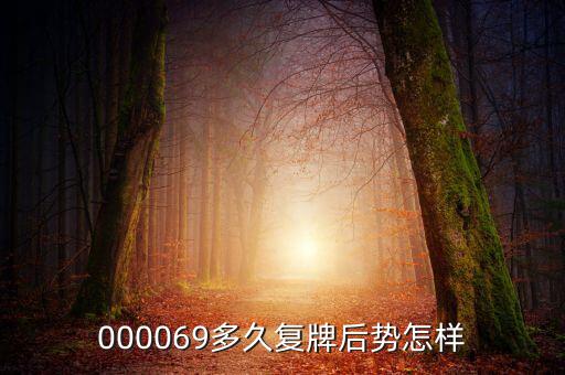 大洲興業(yè)什么時候復牌，000560各位大神知道啥時候復牌