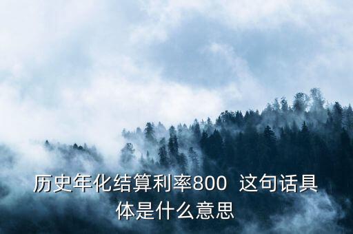 年化結(jié)算利率是什么，歷史年化結(jié)算利率800  這句話具體是什么意思