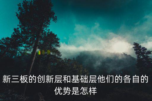 新三板的創(chuàng)新層和基礎(chǔ)層他們的各自的優(yōu)勢是怎樣