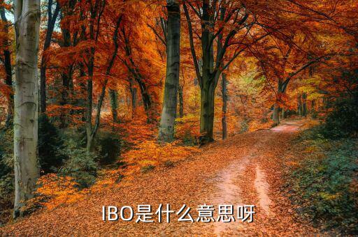 美股ibo是什么公司，IBO是什么意思呀