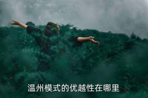 溫州模式的優(yōu)越性在哪里