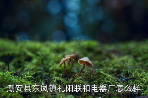 聯(lián)禮陽是個什么來路，樂雪薇 韓承毅 渠禮陽是什么小說