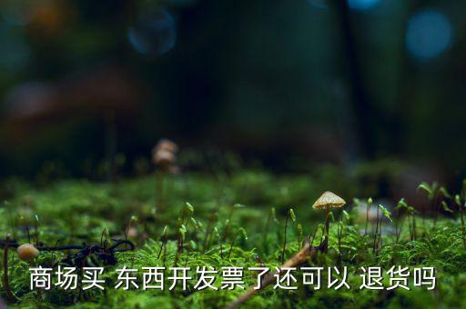 商場買 東西開發(fā)票了還可以 退貨嗎